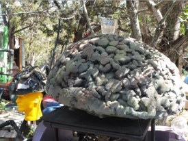 THEGIANTBRAIN takes a break.